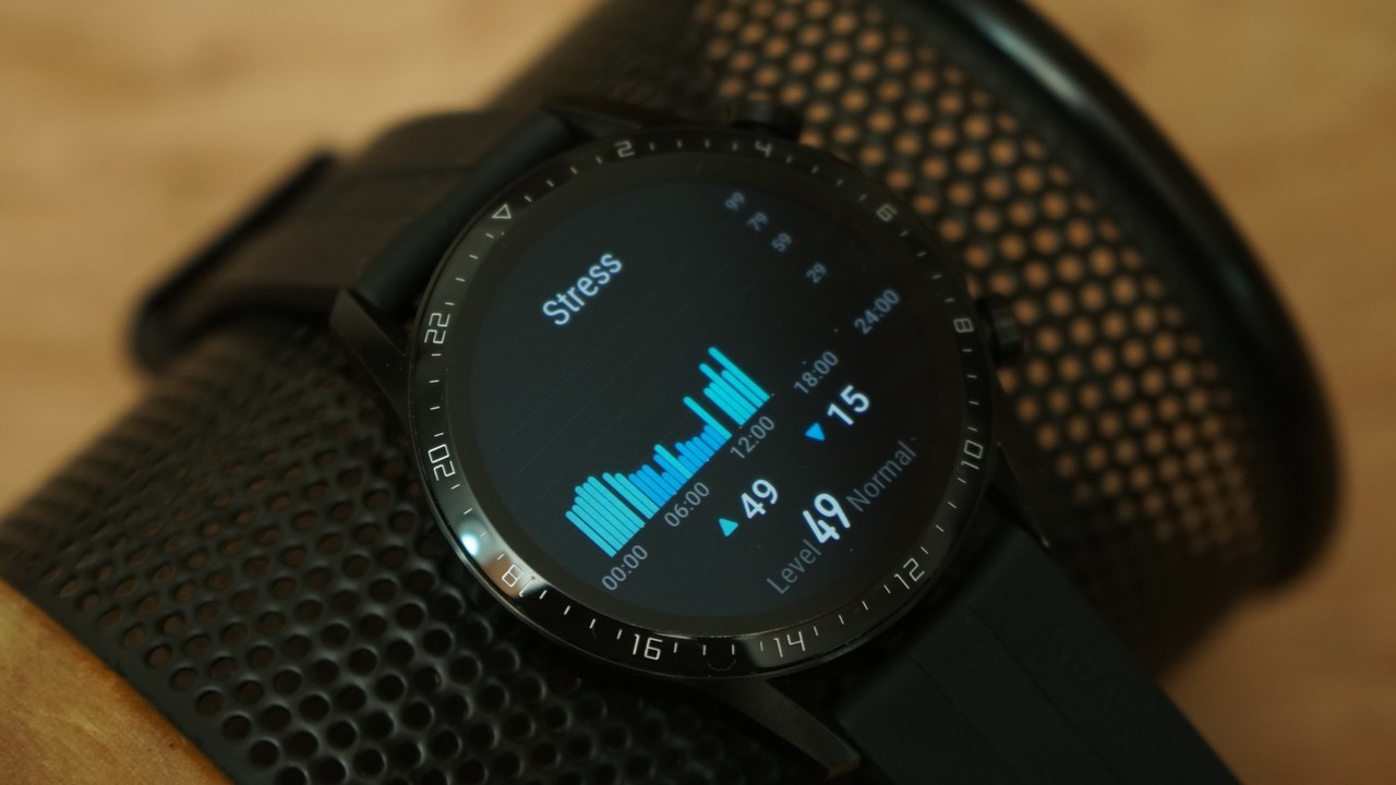 Huawei gt2 2024 stress