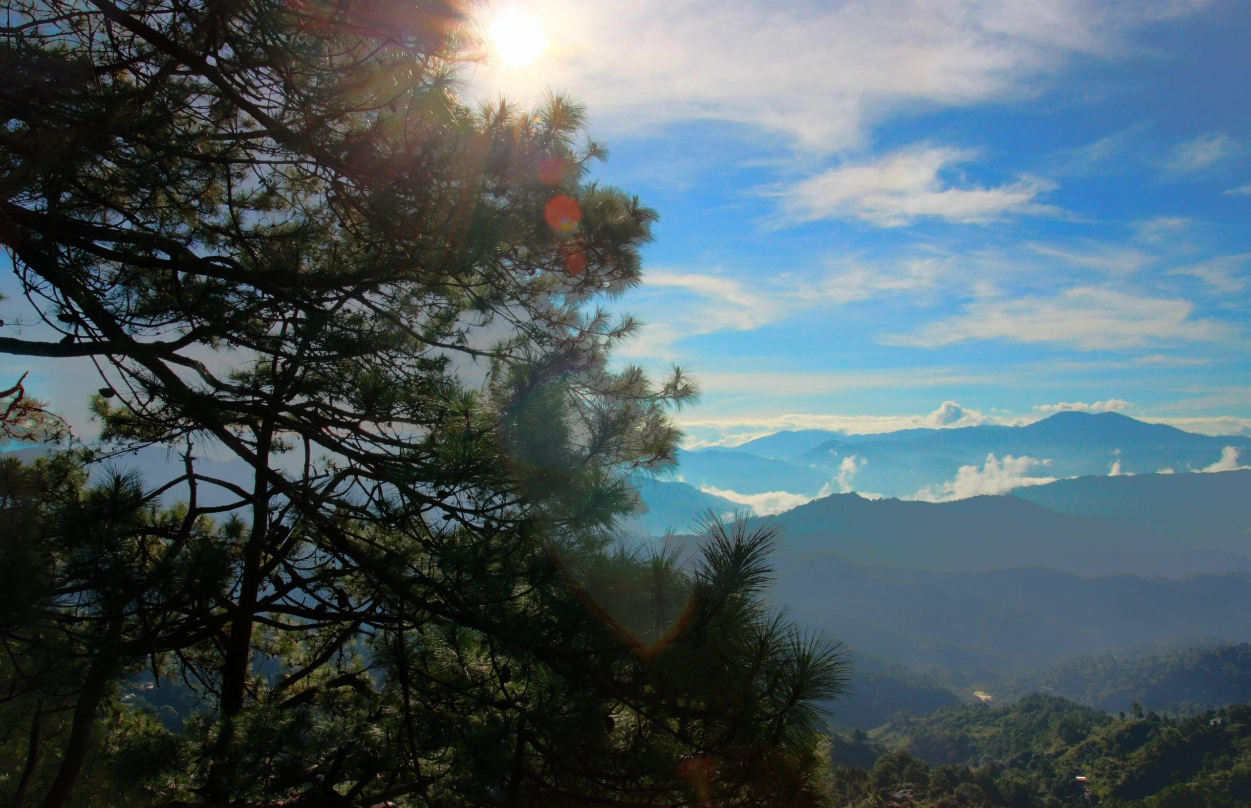Baguio City is Offering Free Bus Rides for Tourists